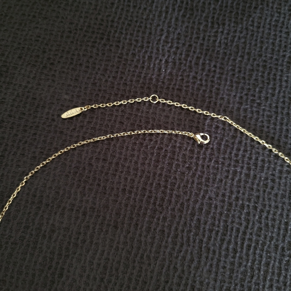 Lulu DK "Fierce"💪 Stationary Bar Necklace - NWOT - Picture 11 of 15